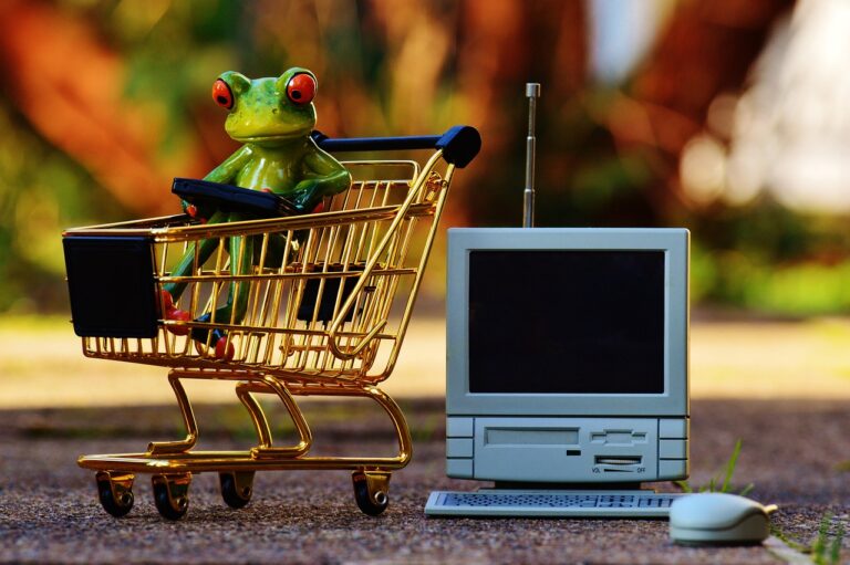 Curated Comfort: Home Shoppings New Rules