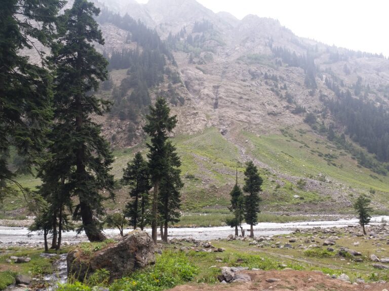 Top 5 Must-Visit Destinations in Pakistan