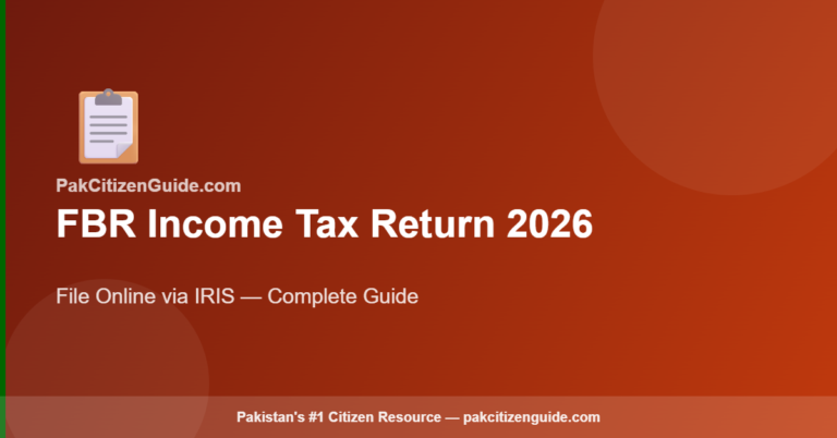 How to File Income Tax Return Online in Pakistan 2025 — FBR Guide